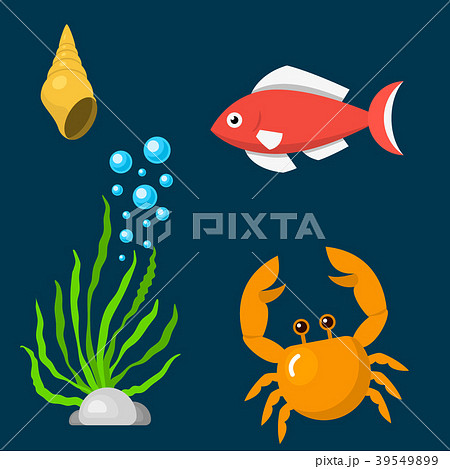 Set aquatic funny sea animals underwater creatures 39549899
