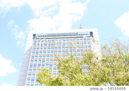 茨城県庁舎と新緑　茨城県水戸市　 39550009