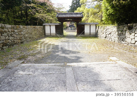 門 門 39550358