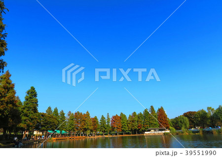 舎人公園の風景 舎人公園の風景 39551990