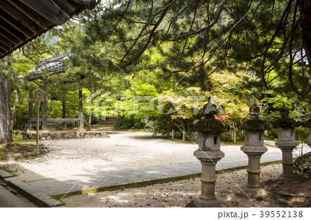 西明寺の新緑 39552138