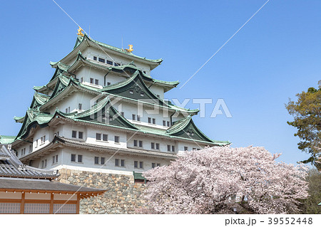 春の名古屋城 春の名古屋城 39552448