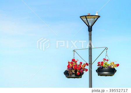 Lightpole with hanging flower pots 39552717