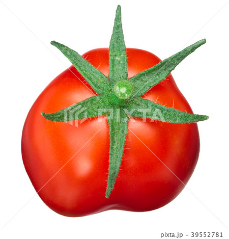 Plum tomato from above, paths 39552781