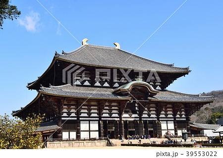 東大寺  東大寺  39553022