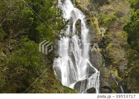 【岡山県　真庭市】神庭の滝（日本の滝百選） 39553717