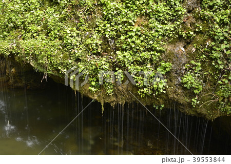 【岡山県　真庭市】玉垂の滝 39553844