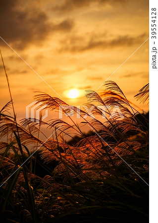 秋の夕暮れ 39554128