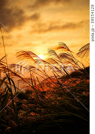 秋の夕暮れの写真素材
