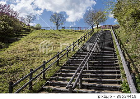 宮ケ瀬湖鳥居原園地の階段 宮ケ瀬湖鳥居原園地の階段 39554419