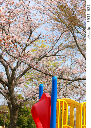 あかね台の桜6 あかね台の桜6 39554921
