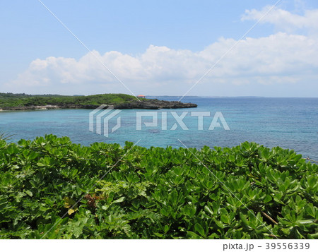 海（宮古島海中公園） 39556339