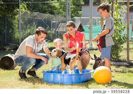 Family playing with dog from animal shelter 39558228