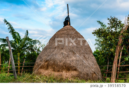 Straw. 39558570