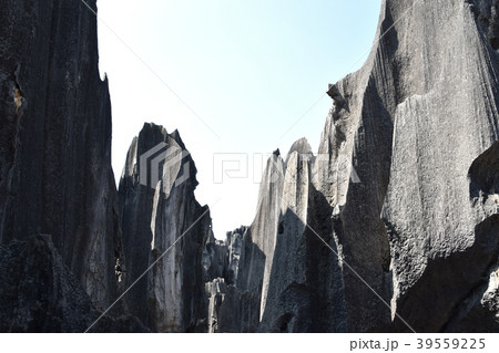 昆明大石林 39559225