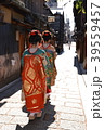 京都　舞妓 39559457