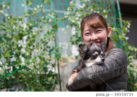 愛犬のチワワを抱く女性 愛犬のチワワを抱く女性 39559735