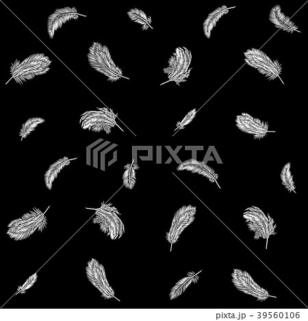 Monochrome black white feathers embroidery Monochrome black white feathers embroidery 39560106