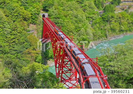 深緑の黒部峡谷 新山彦橋 深緑の黒部峡谷 新山彦橋 39560231