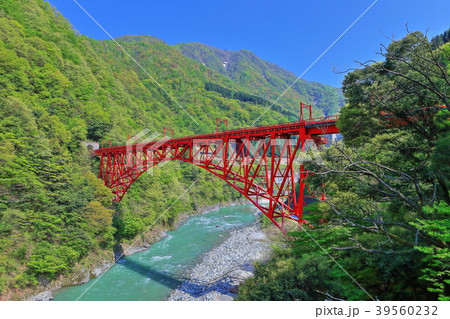 深緑の黒部峡谷 新山彦橋 深緑の黒部峡谷 新山彦橋 39560232