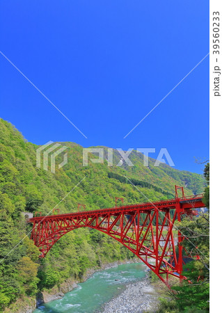 深緑の黒部峡谷　新山彦橋 39560233