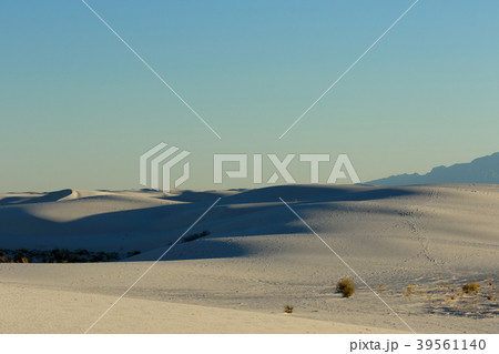 ホワイトサンズ White Sands National Monument アメリカ ニューメキシコ ホワイトサンズ White Sands National Monument アメリカ ニューメキシコ 39561140
