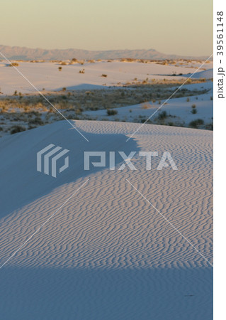 ホワイトサンズ White Sands National Monument アメリカ ニューメキシコ 39561148