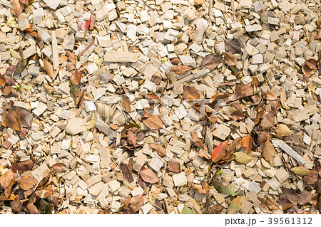 木材チップ  木材チップ  39561312
