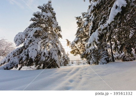 Beautiful winter landscape at sunset 39561332