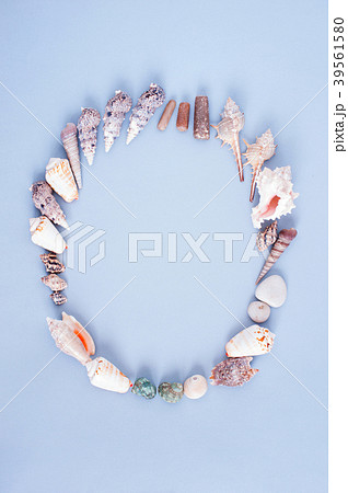 Frame of sea shells and pebble on the light blue Frame of sea shells and pebble on the light blue 39561580
