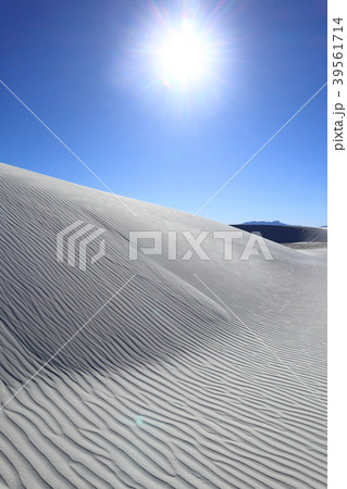 ホワイトサンズ White Sands National Monument アメリカ ニューメキシコ ホワイトサンズ White Sands National Monument アメリカ ニューメキシコ 39561714