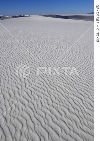 ホワイトサンズ White Sands National Monument アメリカ ニューメキシコ 39561730