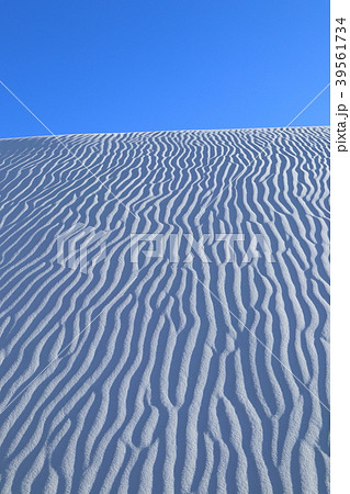 ホワイトサンズ White Sands National Monument アメリカ ニューメキシコ 39561734