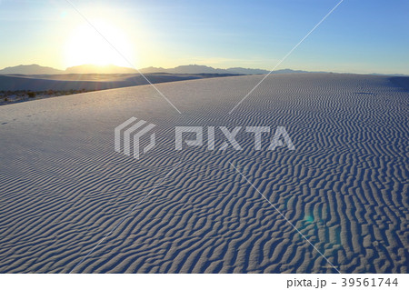 ホワイトサンズ White Sands National Monument アメリカ ニューメキシコ 39561744
