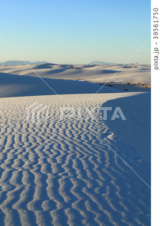 ホワイトサンズ White Sands National Monument アメリカ ニューメキシコ ホワイトサンズ White Sands National Monument アメリカ ニューメキシコ 39561750
