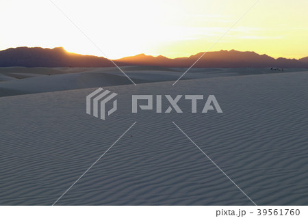 ホワイトサンズ White Sands National Monument アメリカ ニューメキシコ 39561760