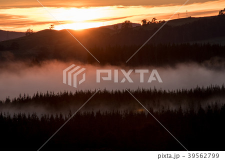 日の出 日の出 39562799