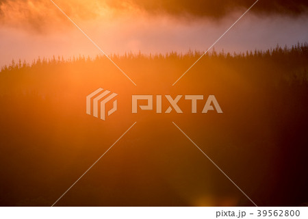 日の出 39562800