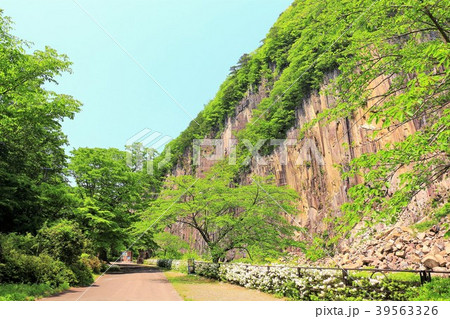 新緑の材木岩公園 39563326