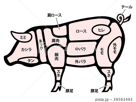 ベスト豚 部位 イラスト アニメ画像