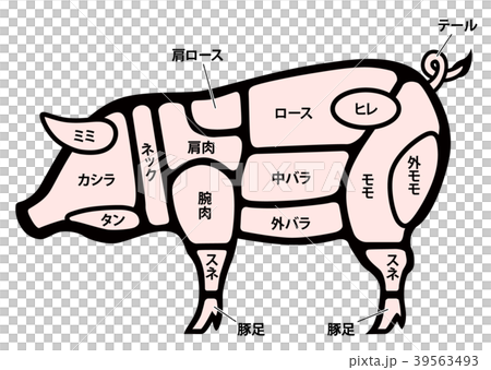 豚肉 ポーク 部位 白背景のイラスト素材