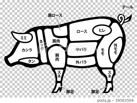 豚肉 ポーク 部位 白背景のイラスト素材