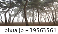 霧 忠清北道 松 39563561