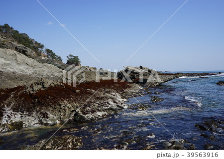 三陸ジオパーク茂師の海 39563916