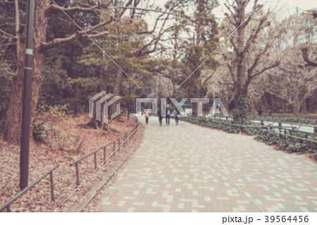 blur image of People walking in the park. blur image of People walking in the park. 39564456