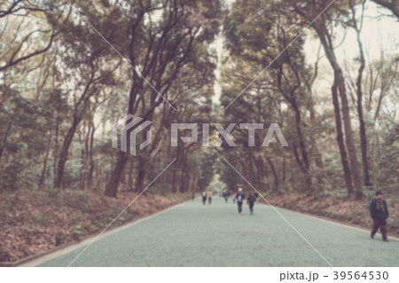 blur image of People walking in the park. 39564530