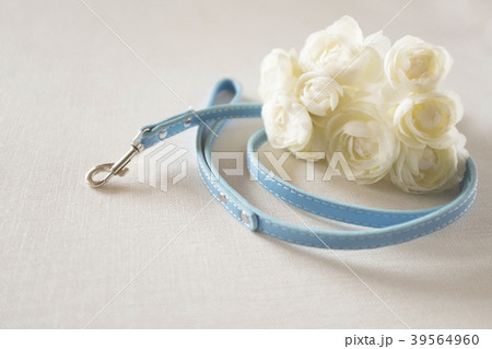 ペット葬 ペット葬 39564960