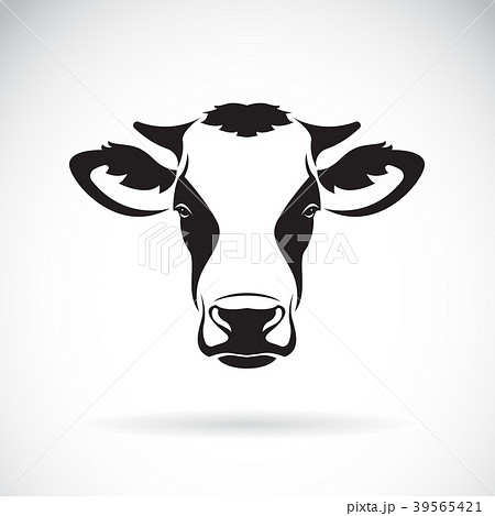 Vector of a cow head design on white background. Vector of a cow head design on white background. 39565421
