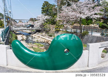 春の玉造温泉 勾玉橋 39565529