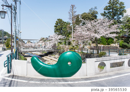 春の玉造温泉 勾玉橋の写真素材